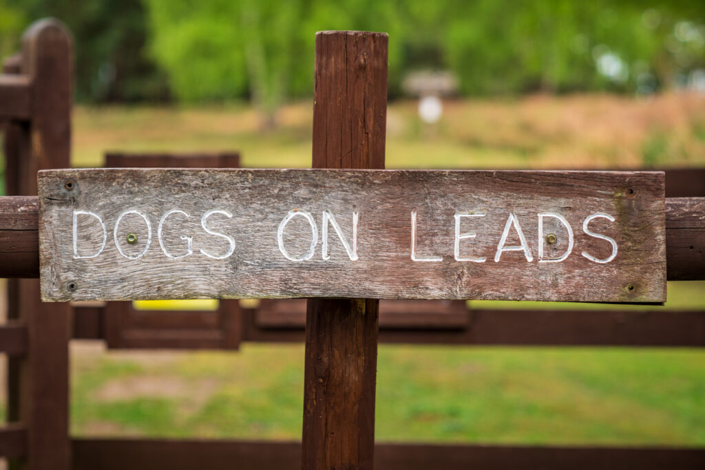 Sign saying 'dogs on leads' attached to a fence.