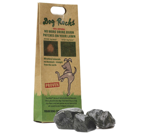 Dog Rocks Lawn Burn Prevention