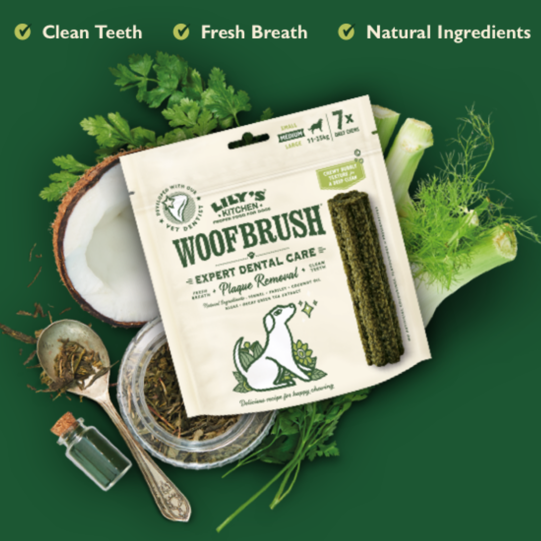 Best dog dental chews Vital Pet Club Expert pet advice from vets